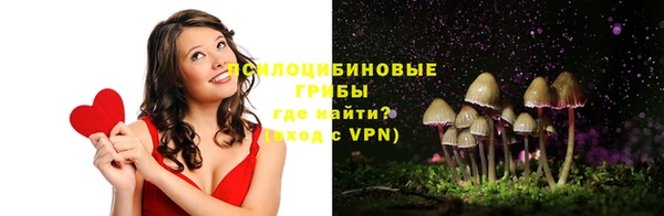 дмт Алексеевка