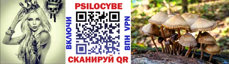 Псилоцибиновые грибы Cubensis  Ленинск 
